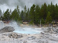 Yellowstone Norris Geyser (58).JPG